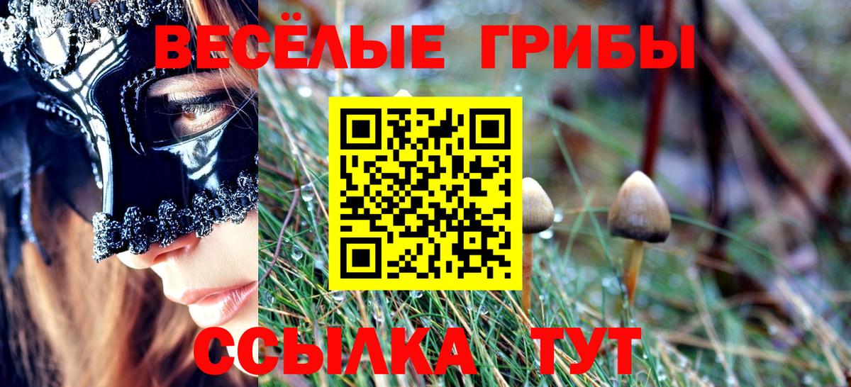 Галлюциногенные грибы прущие грибы  Вход с VPN  Красногорск  Псилоцибиновые грибы MAGIC MUSHROOMS 