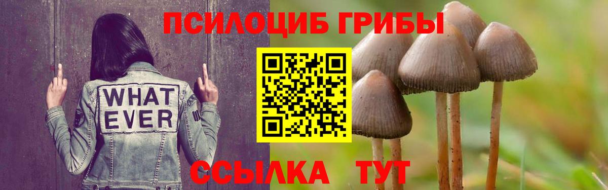Меф МЯУ МЯУ кристаллы  Красногорск  Марихуана  Вход с VPN  ГАШИШ 